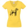 Lady-fit Valueweight V-Neck T-Shirt Thumbnail